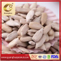 High Quality 2021 Sunflower Seeds Kernels